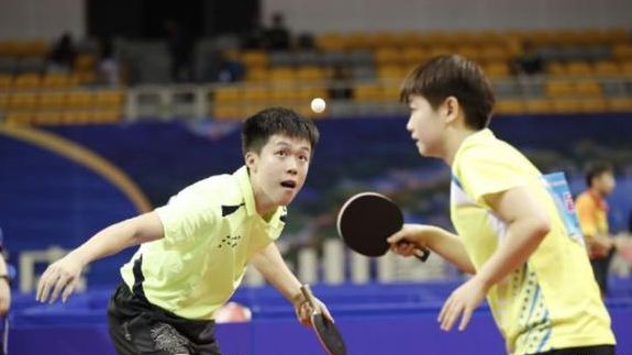 主导看台大 主导看台大