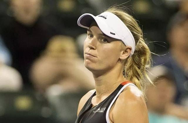 不仅体现出 不仅体现出